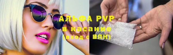 винт Абаза