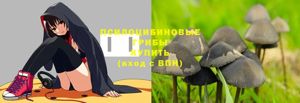 винт Абаза