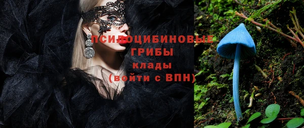 винт Абаза