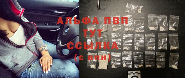 винт Абаза