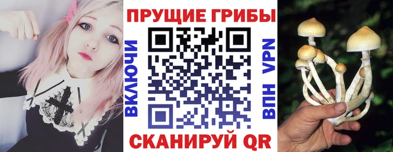 хочу   Суздаль  Галлюциногенные грибы GOLDEN TEACHER 
